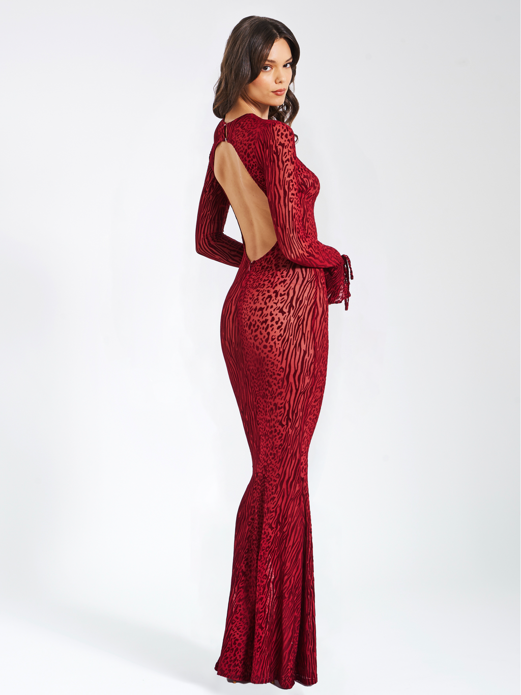 Waylynn Burnout Velvet Detail Mesh Backless Maxi Dress